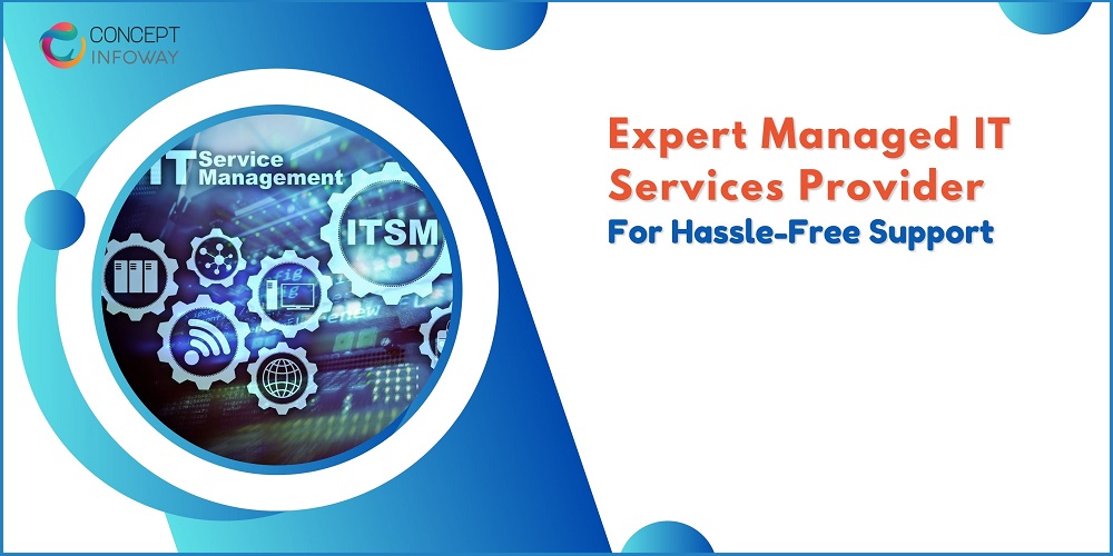 Expert Managed IT Services Provider For Hassle-Free Support